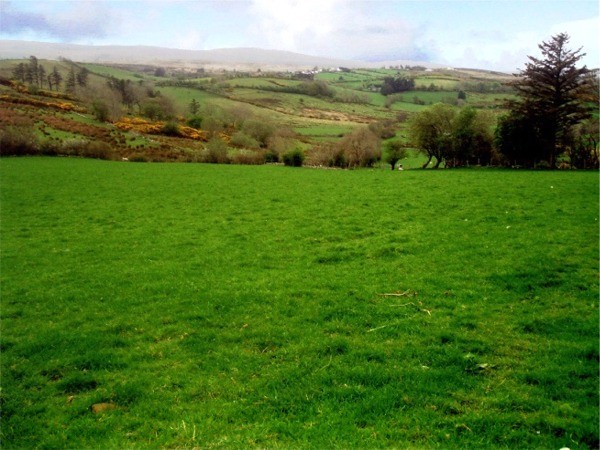 At the very heart of the Donegal countryside - Fern Holiday Cottage, Church Hill, County Donegal Ireland